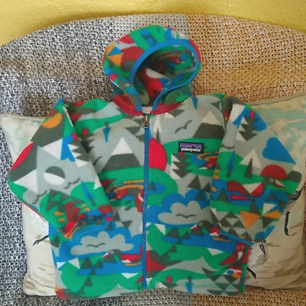 Patagonia Synchilla Fleece